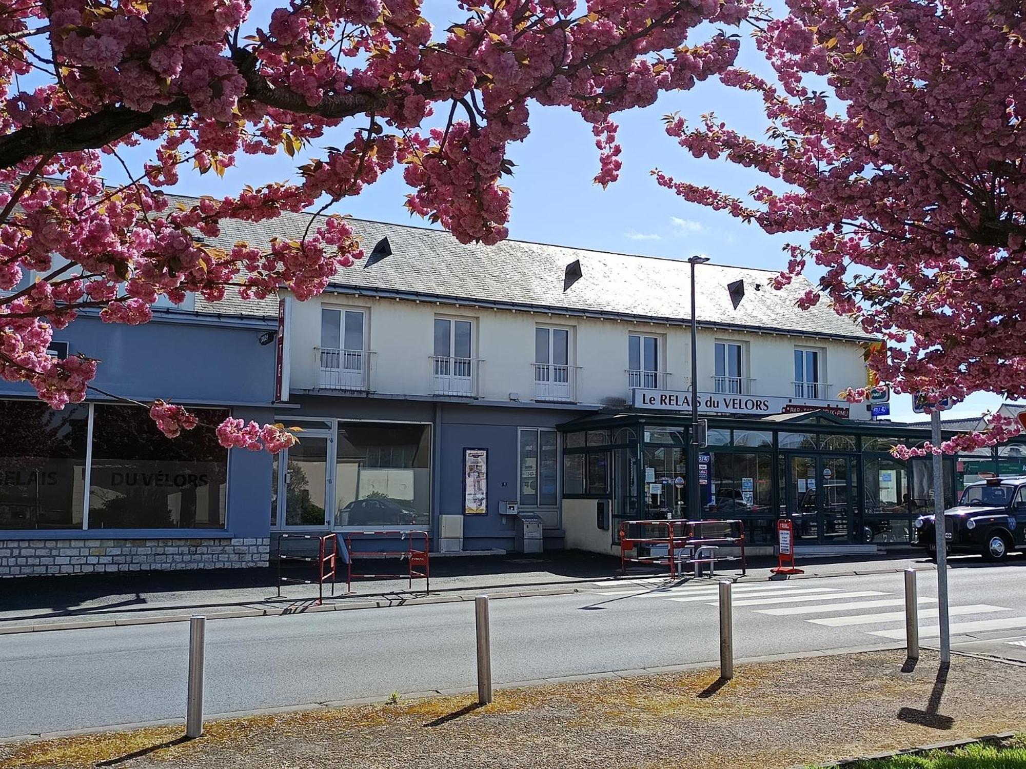 Le Relais Du Velors Otel Beaumont-en-Véron Dış mekan fotoğraf